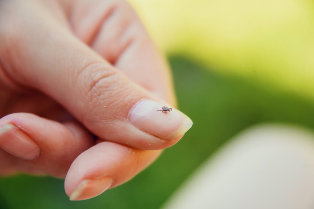 Tick,Crawling,On,Finger.,The,Concept,Of,Danger,Of,Tick