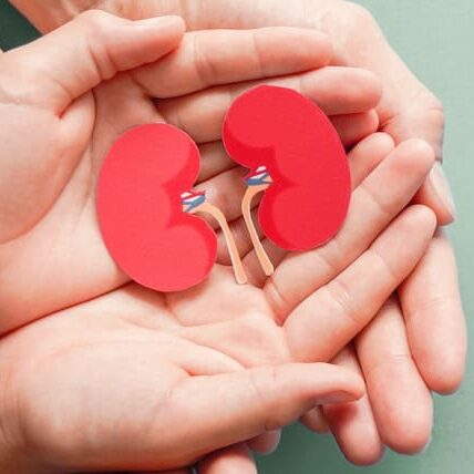 niereninsuffizienz_2